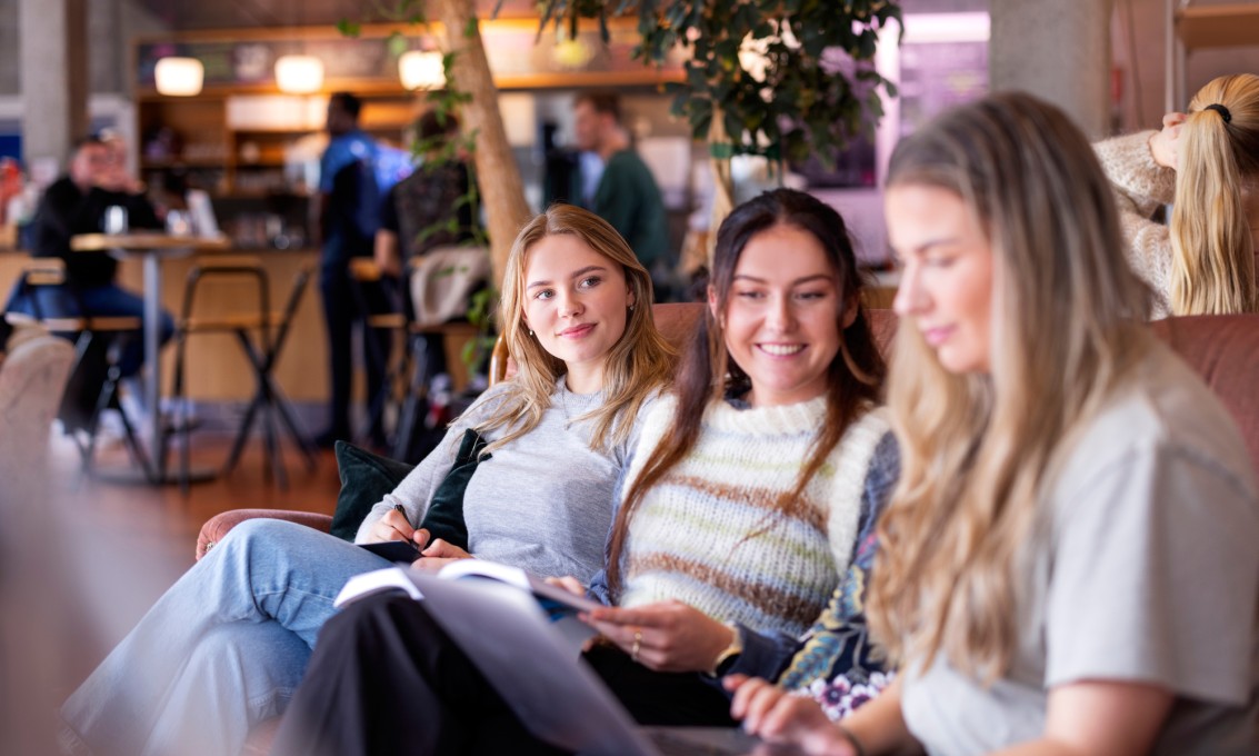 Studies at the university of stavanger university of stavanger